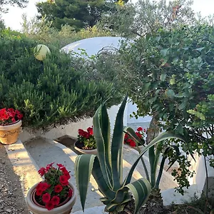 https://residence-guidaloca.sicilyhotelsitaly.net